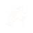 Icono