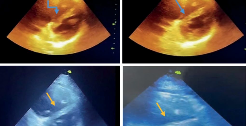 Medicina de Urgencias de México