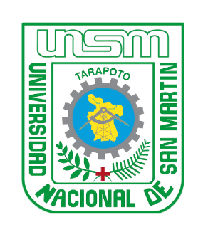 Logo UNSM