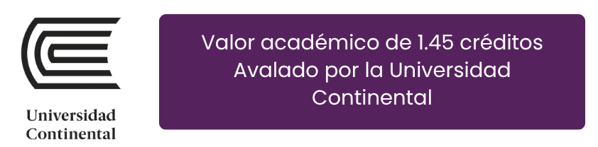 Aval Académico Universidad Continental